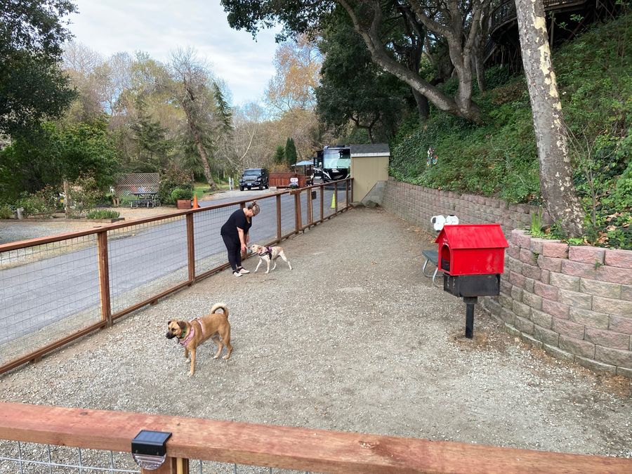 At Carmel by the River, we welcome your furry friends! Our property is pet friendly, with waste stations provided throughout the grounds for your convenience. We encourage responsible pet ownership so you and your pets can enjoy a relaxing stay together.